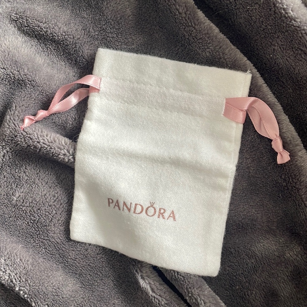 💌 {pandora} pouch